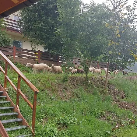 Frühstückspension Emarik Podobin